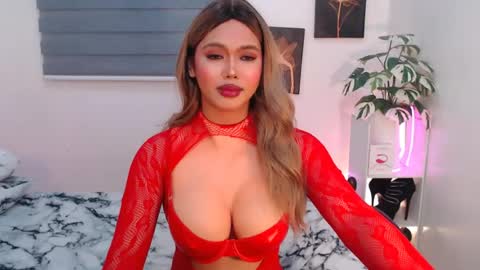 hollywoodstareme online show from 08.03.26