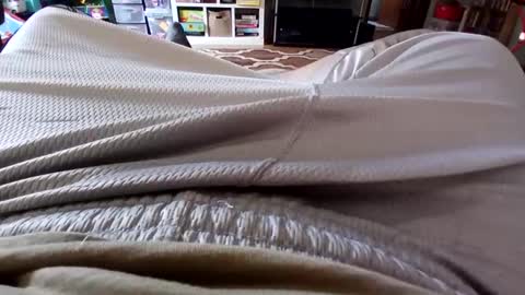 Snapshot of holycannoli123 chatting on 10.15.25 holycannoli123 online show from 10.15.25