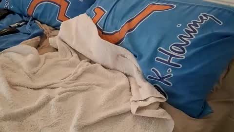 Homer online show from 03.06.25