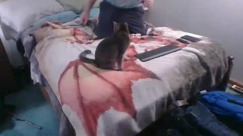 Sebastians Mess online show from 10.04.25