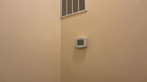 honey_man14 online show from 02.19.25