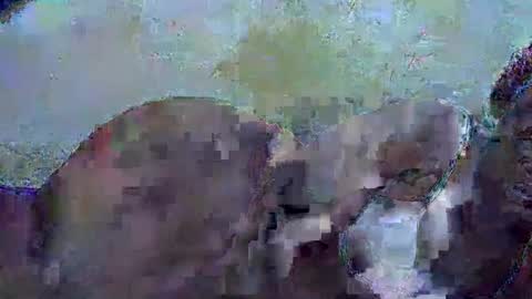 Snapshot of honey_sunshiny chatting on 02.03.26 honey_sunshiny online show from 02.03.26