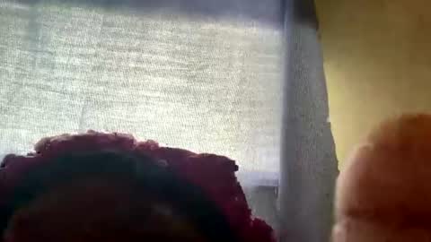 honeybaby44446 online show from 07.11.26
