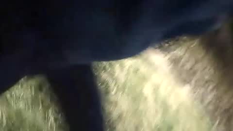 Snapshot of honky220557 chatting on 09.13.25 Jovante online show from 09.13.25