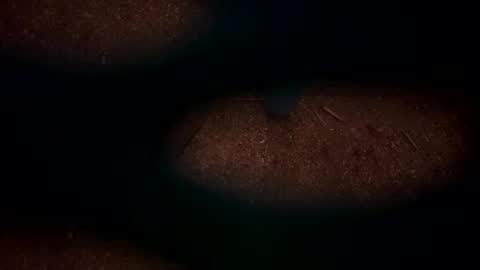 hopper_in_joyce online show from 03.02.25