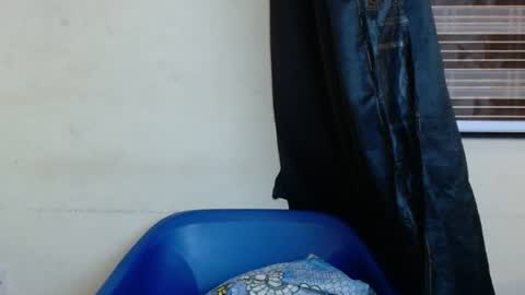 horny4bum online show from 03.01.25