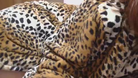 Snapshot of horny_hey chatting on 02.22.25 Serena online show from 02.22.25
