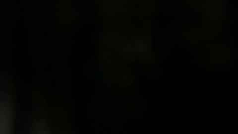 Snapshot of horsedick1236 chatting on 12.11.24 Bbc horsey online show from 12.11.24