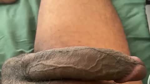 Snapshot of horsedick1236 chatting on 01.12.26 Bbc horsey online show from 01.12.26