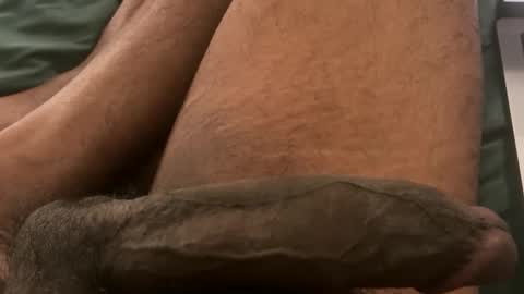 Snapshot of horsedick1236 chatting on 02.03.26 Bbc horsey online show from 02.03.26