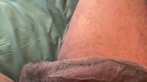 Snapshot of horsedick1236 chatting on 02.11.26 Bbc horsey online show from 02.11.26