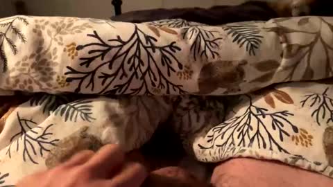 Snapshot of hot_for_you_ chatting on 10.18.25 hot_for_you_ online show from 10.18.25