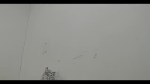 Mia online show from 12.12.24