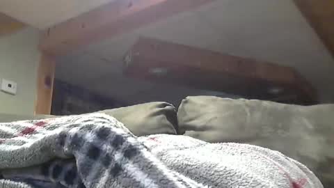 Snapshot of hotandhornyxxx1 chatting on 05.01.26 Hot and Horny online show from 05.01.26