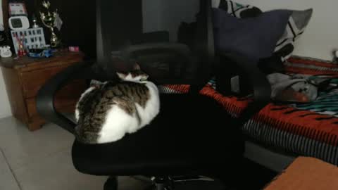 Hot and PowerHOPE U MISS ME online show from 12.21.24