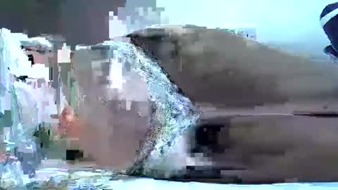 hotberry_7 online show from 04.06.26