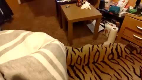 Snapshot of hotboy69735953 chatting on 03.15.26 hotboy69735953 online show from 03.15.26