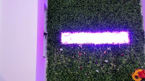 hotfallingdevil online show from 12.21.25