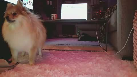 hotgirlbigbutt online show from 01.17.26