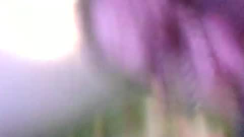 steve auston online show from 01.01.25