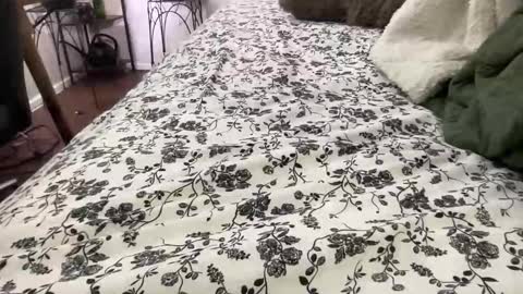 Snapshot of hotmama6666 chatting on 02.04.26 Annabelle online show from 02.04.26