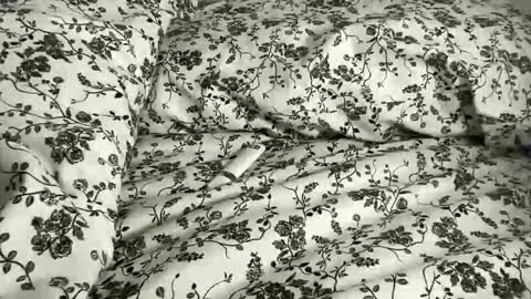 Annabelle online show from 04.21.26