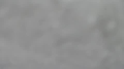 Slutty little female cat online show from 01.18.26