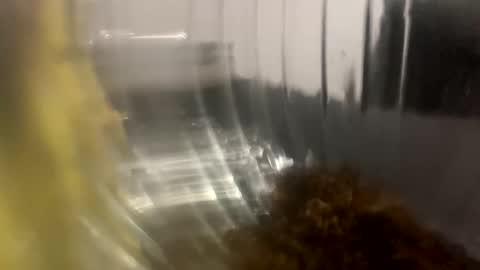 howarudoing online show from 10.05.25