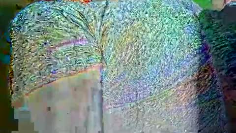 hp58649blabla online show from 09.25.25