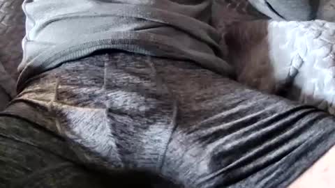 hugepecker131 online show from 12.18.25