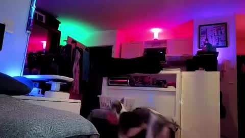 Hugo online show from 02.25.25