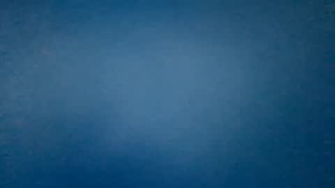 hummelbummel00 online show from 02.14.26