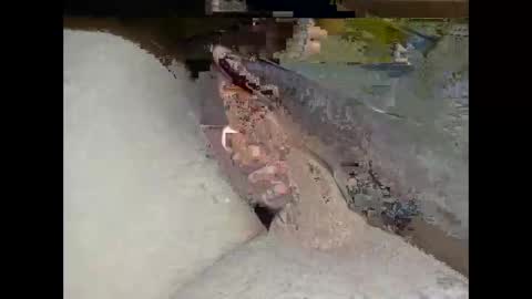 hung_mac0 online show from 02.25.26