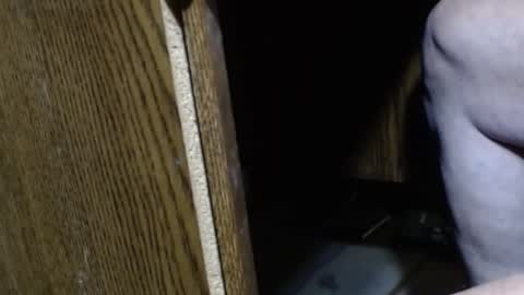 hungsofine online show from 12.15.24