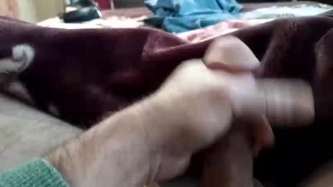 husky1511 online show from 11.11.25