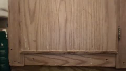 Hybrid Lover419 online show from 02.13.26