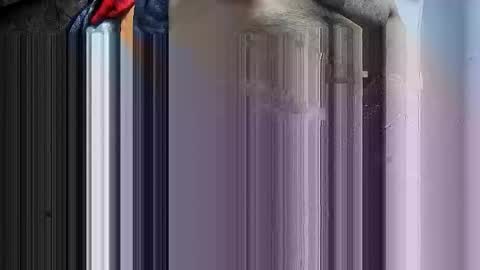 i4cams online show from 01.05.26