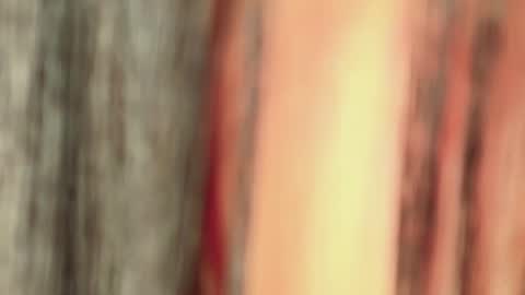 Isa online show from 01.11.26