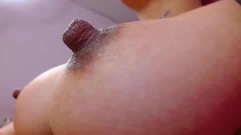 Salo  online show from 02.12.26