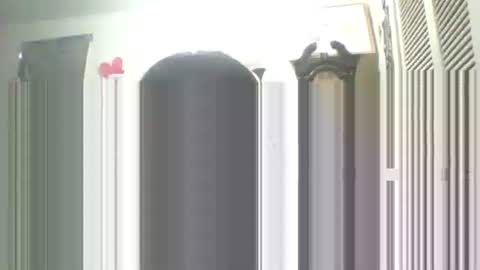 Snapshot of iamproprojectcandysugarbaby chatting on 09.13.25 I LOVE MY COCONUT EAT MY COCONUTS online show from 09.13.25