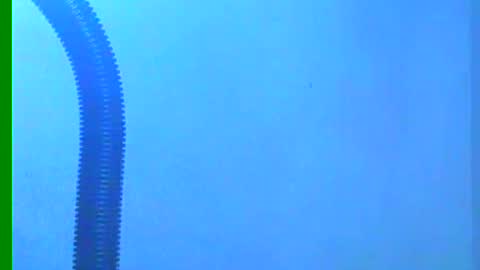 Snapshot of ian_zaenzz chatting on 12.18.24 Samuel igsamuelnoguera 1333 online show from 12.18.24