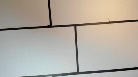 Snapshot of ianlark chatting on 05.16.26 Ian Lark online show from 05.16.26
