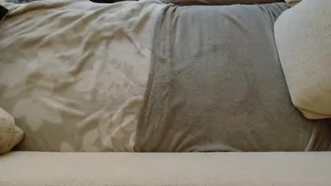 Snapshot of ich_hh chatting on 01.24.25 SnowTiger online show from 01.24.25