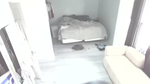 Snapshot of idiocracy517035 chatting on 10.28.25 idiocracy517035 online show from 10.28.25