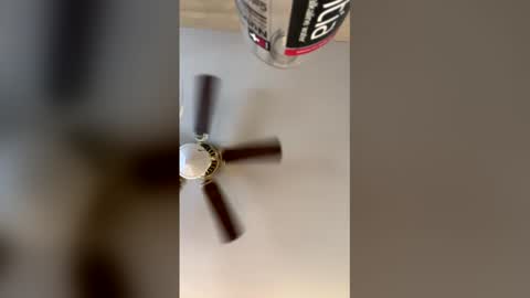 idkk_97 online show from 03.29.26