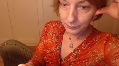 Ifk Donkeys online show from 11.06.25