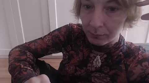 Ifk Donkeys online show from 11.11.25