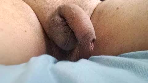 Snapshot of ikbenzo chatting on 12.08.24 ikbenzo online show from 12.08.24