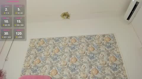 illegal_lorry online show from 02.15.26