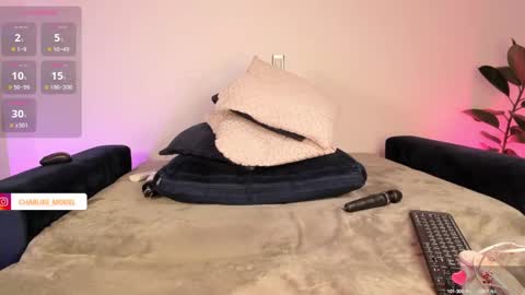 Snapshot of im_charliee chatting on 02.01.25 charlie online show from 02.01.25